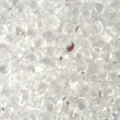 MIYUKI Berry Beads