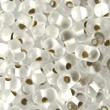 MIYUKI Berry Beads