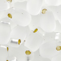 MIYUKI long dorp beads