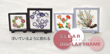 ���ꥢ�ǥ����ץ쥤�ե졼��