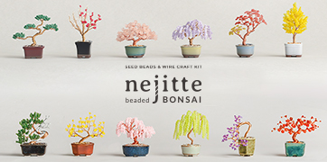 �ͥ��å� BONSAI ���å�