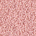 ǥꥫӡ DB1493