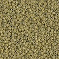 ǥꥫӡ DB2124