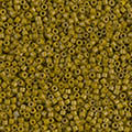 ǥꥫӡ DB2141