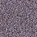 ǥꥫӡ DB1065